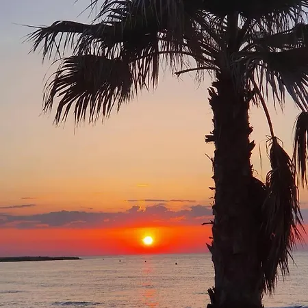 Lejlighed Gemuetliche In Ca100m Vom Playa Del Cura Entfernt Torrevieja